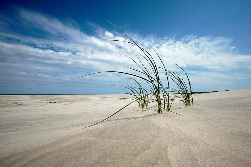 Hotel Brasserie Brakzand Schiermonnikoog Exteriér fotografie
