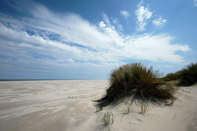 Hotel Brasserie Brakzand Schiermonnikoog Exteriér fotografie